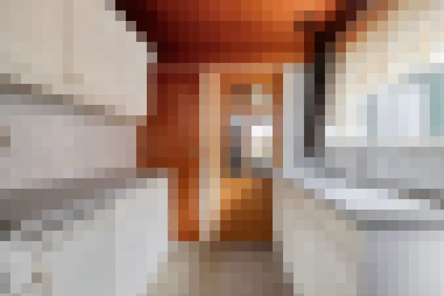 J.D. van Leeuwenstraat 20 Tiel thumbnail 9