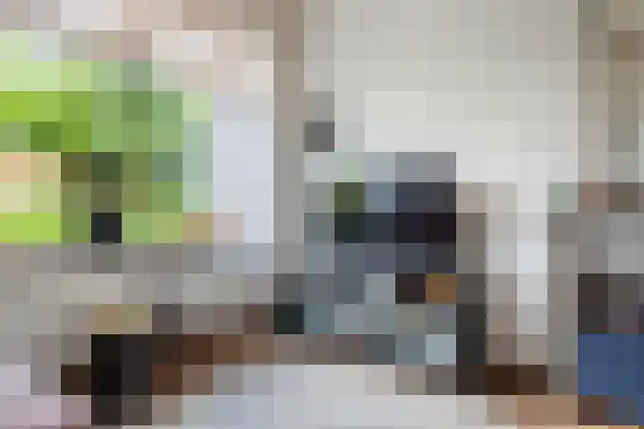 J.D. van Leeuwenstraat 28 Tiel thumbnail 17