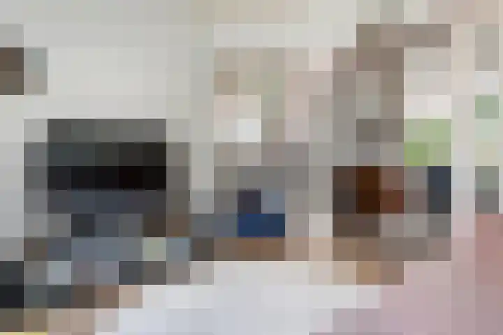 J.D. van Leeuwenstraat 28 Tiel thumbnail 18