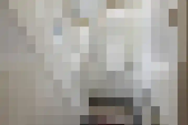 J.D. van Leeuwenstraat 28 Tiel thumbnail 4
