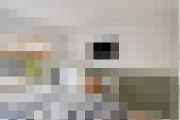 J.D.van Mellestraat 90 Goes thumbnail 13