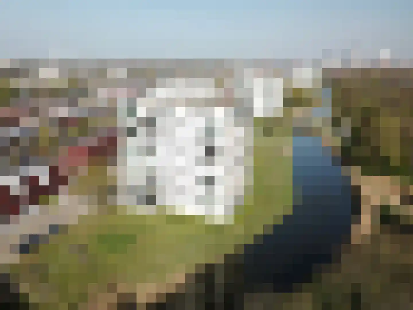 J. de Baanlaan 139 Spijkenisse