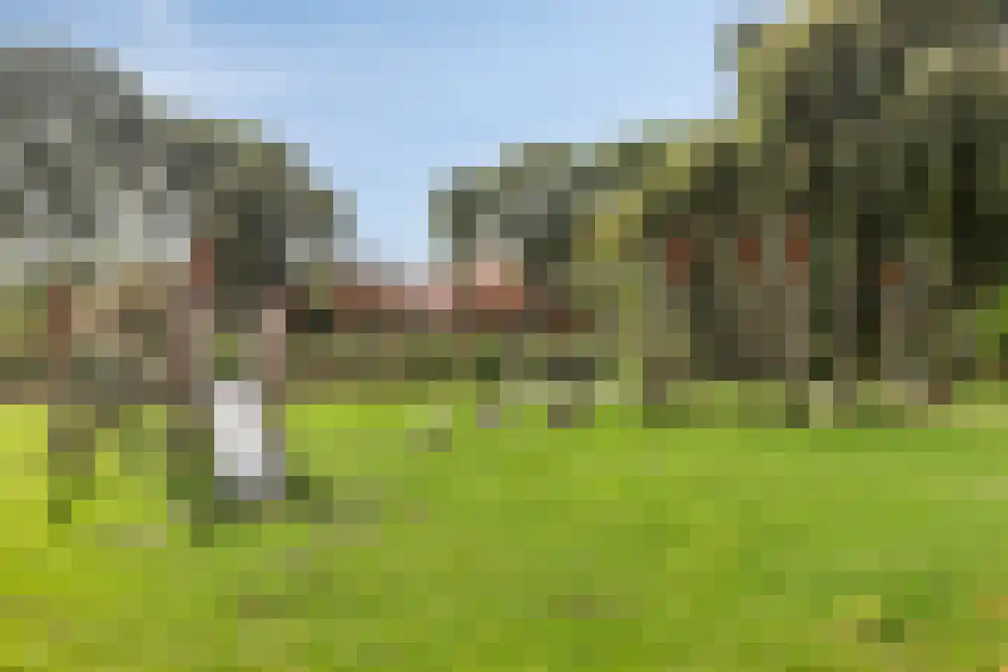 J. de Baanlaan 139 Spijkenisse thumbnail 22