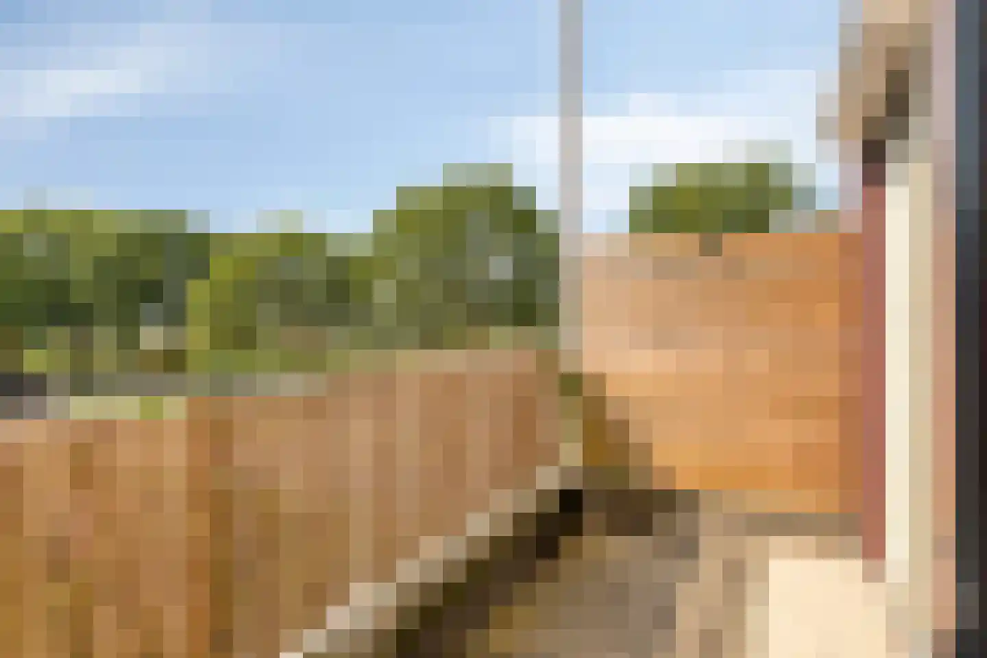 J. de Baanlaan 2 Spijkenisse thumbnail 19