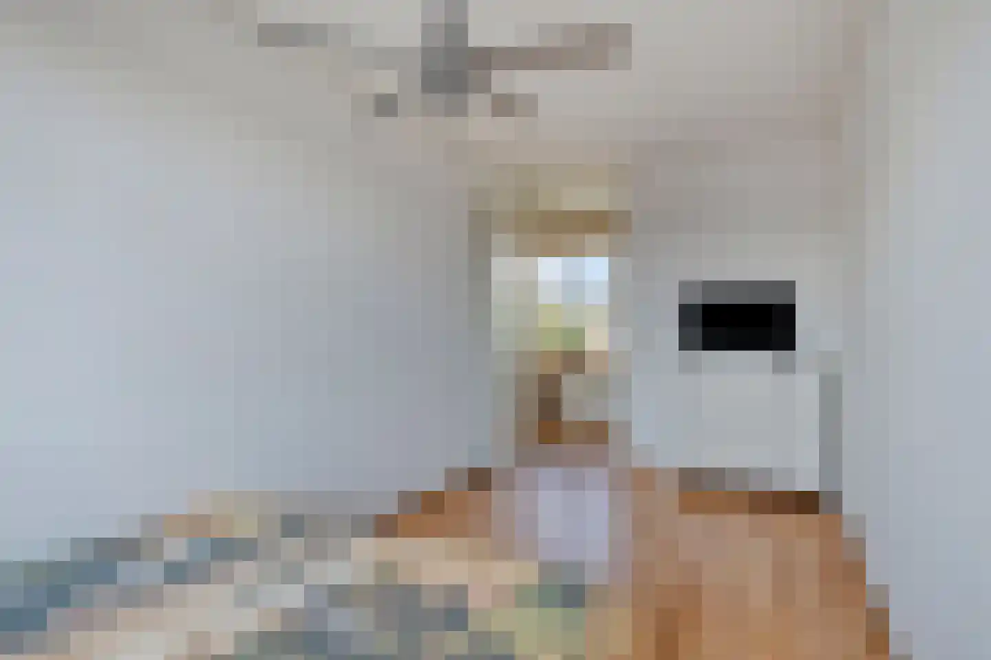 J. de Baanlaan 2 Spijkenisse thumbnail 23