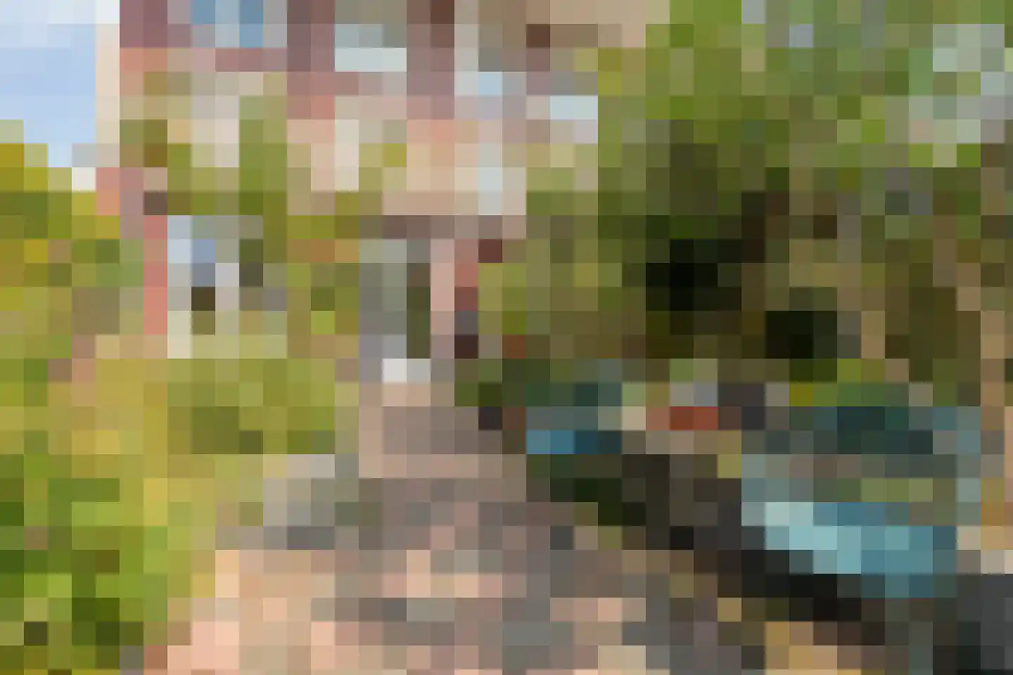 J. de Baanlaan 2 Spijkenisse thumbnail 29