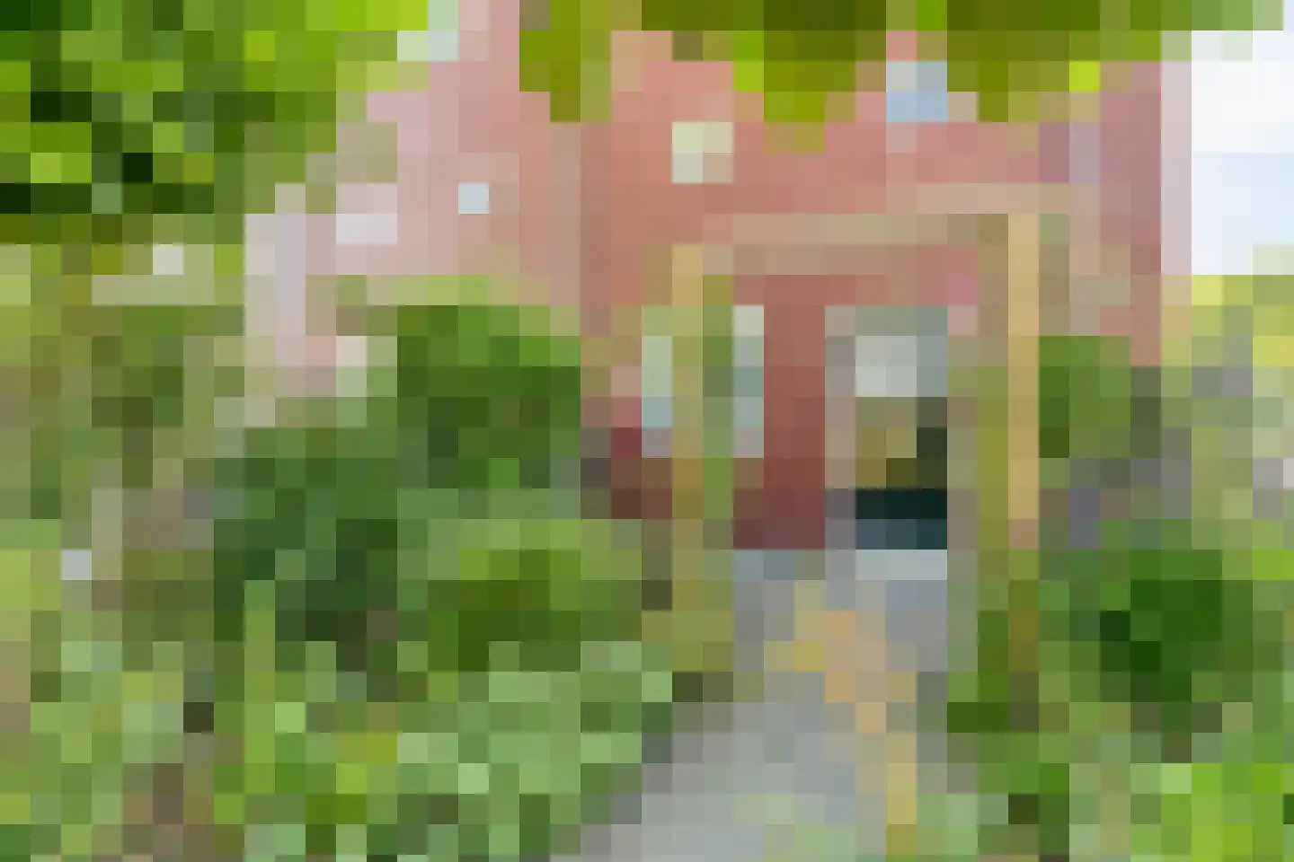 J. de Baanlaan 2 Spijkenisse thumbnail 33