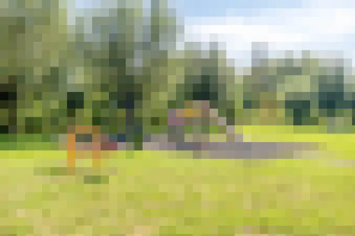 J. de Baanlaan 2 Spijkenisse thumbnail 37