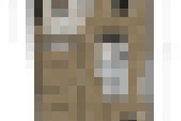 J. de Baanlaan 60 Spijkenisse thumbnail 13