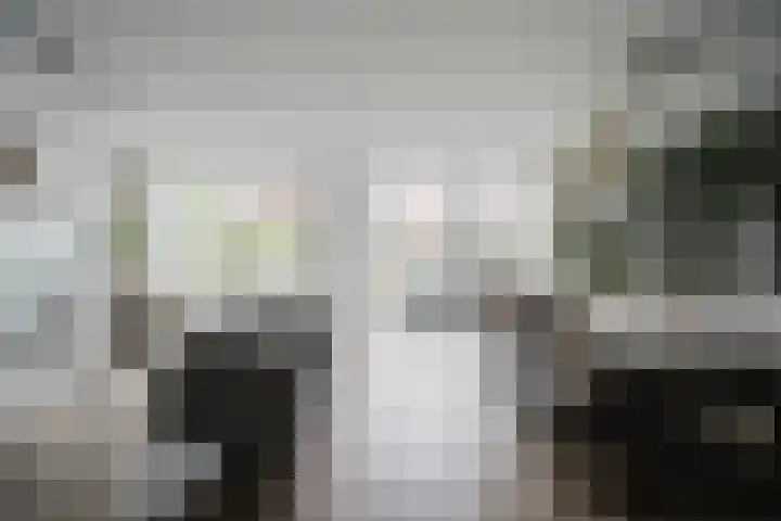 J. de Baanlaan 60 Spijkenisse thumbnail 16