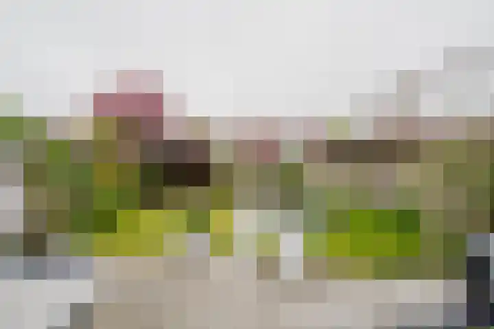 J. de Baanlaan 60 Spijkenisse thumbnail 17
