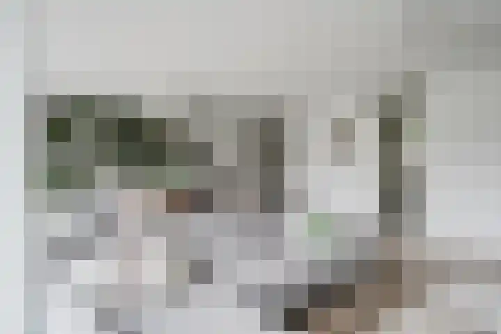J. de Baanlaan 60 Spijkenisse thumbnail 18