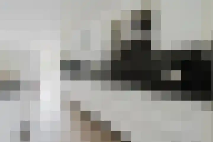 J. de Baanlaan 60 Spijkenisse thumbnail 20