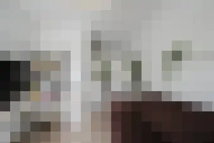 J. de Baanlaan 60 Spijkenisse thumbnail 22