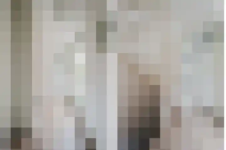 J. de Baanlaan 60 Spijkenisse thumbnail 24