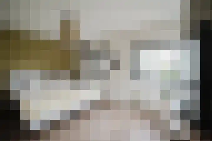 J. de Baanlaan 60 Spijkenisse thumbnail 34