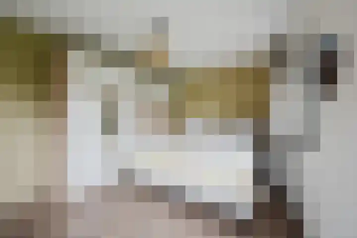 J. de Baanlaan 60 Spijkenisse thumbnail 35