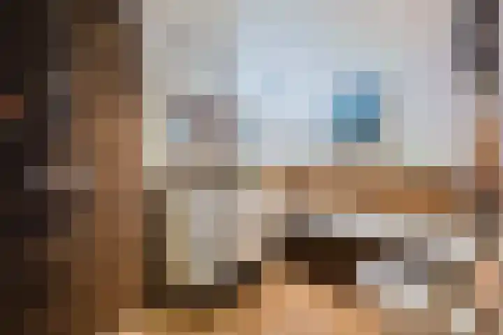 J. de Baanlaan 60 Spijkenisse thumbnail 4