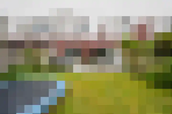 J. de Baanlaan 60 Spijkenisse thumbnail 5
