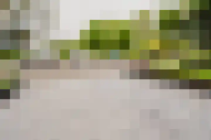 J. de Baanlaan 60 Spijkenisse thumbnail 8