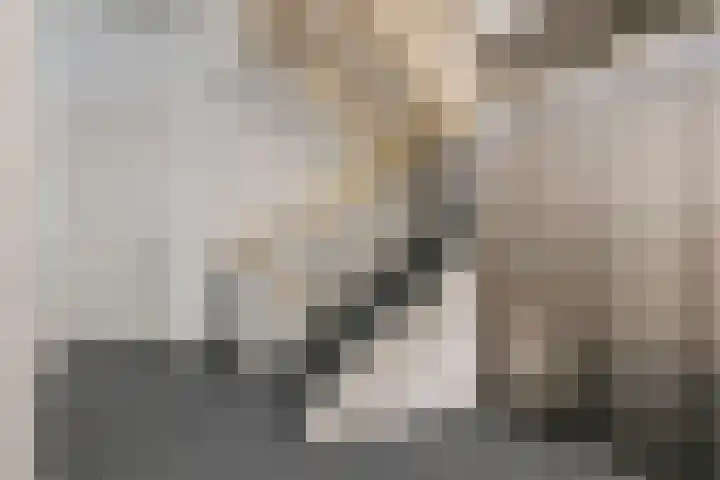 J. de Regtstraat 1 Maarssen thumbnail 19