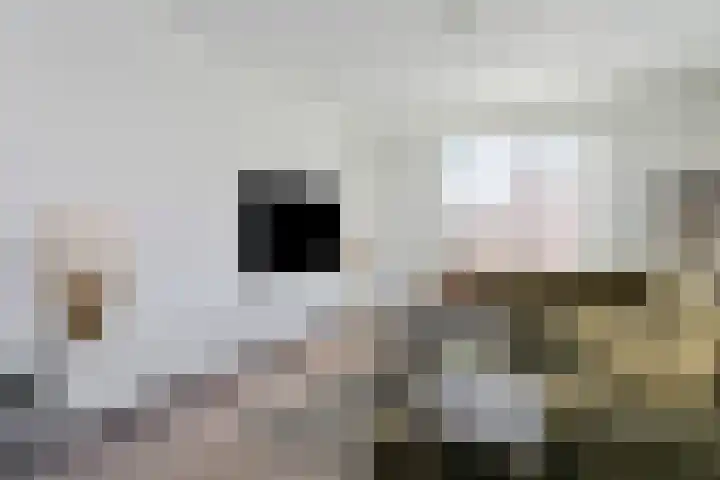 J. de Regtstraat 1 Maarssen thumbnail 5