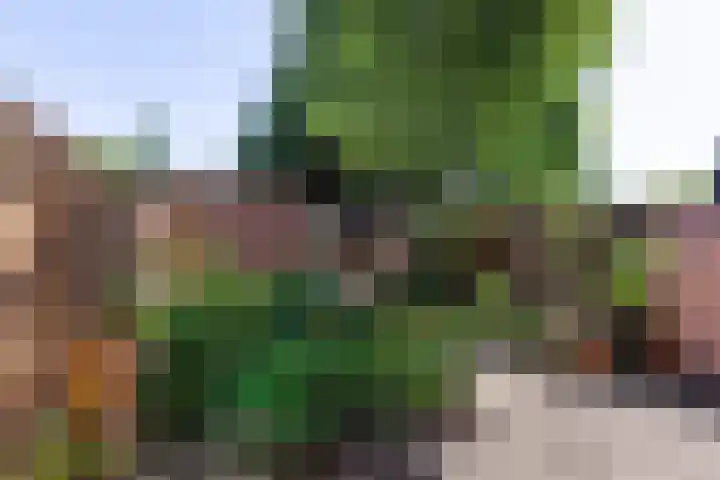 J. Dixlaan 17 Heemstede thumbnail 15