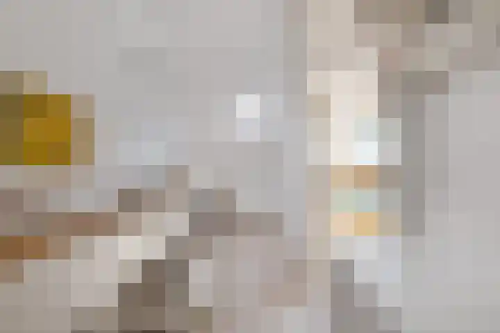 J. Dixlaan 17 Heemstede thumbnail 24