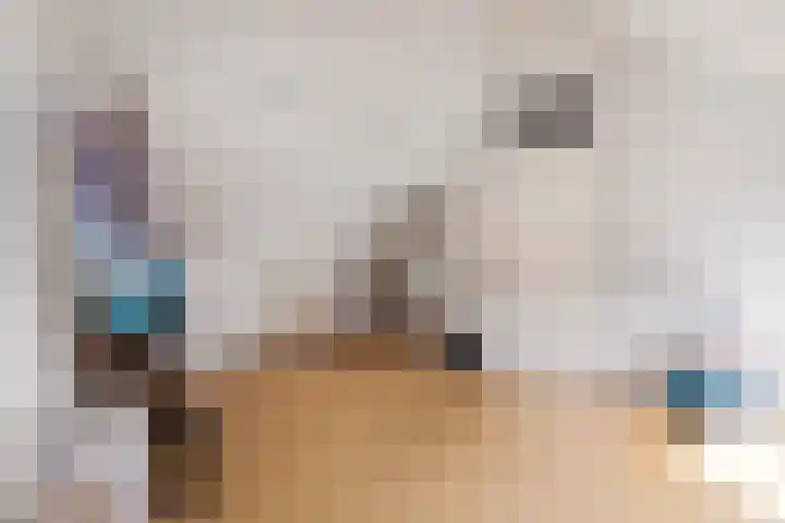 J. Dixlaan 17 Heemstede thumbnail 25