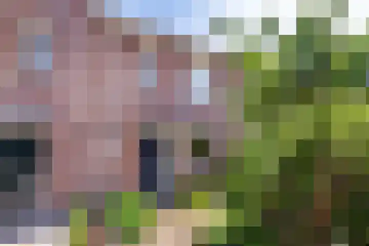 J. Dixlaan 17 Heemstede thumbnail 29