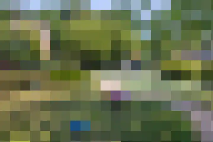 J. Dixlaan 17 Heemstede thumbnail 32