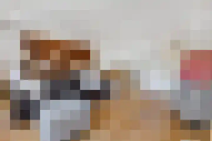 J. Dixlaan 17 Heemstede thumbnail 6
