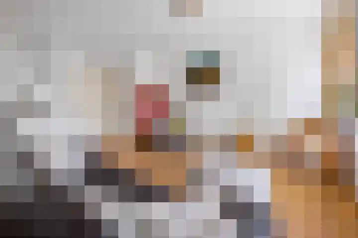 J. Dixlaan 17 Heemstede thumbnail 7