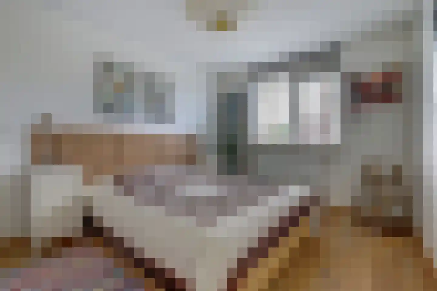 J. Dixlaan 40 Heemstede thumbnail 28