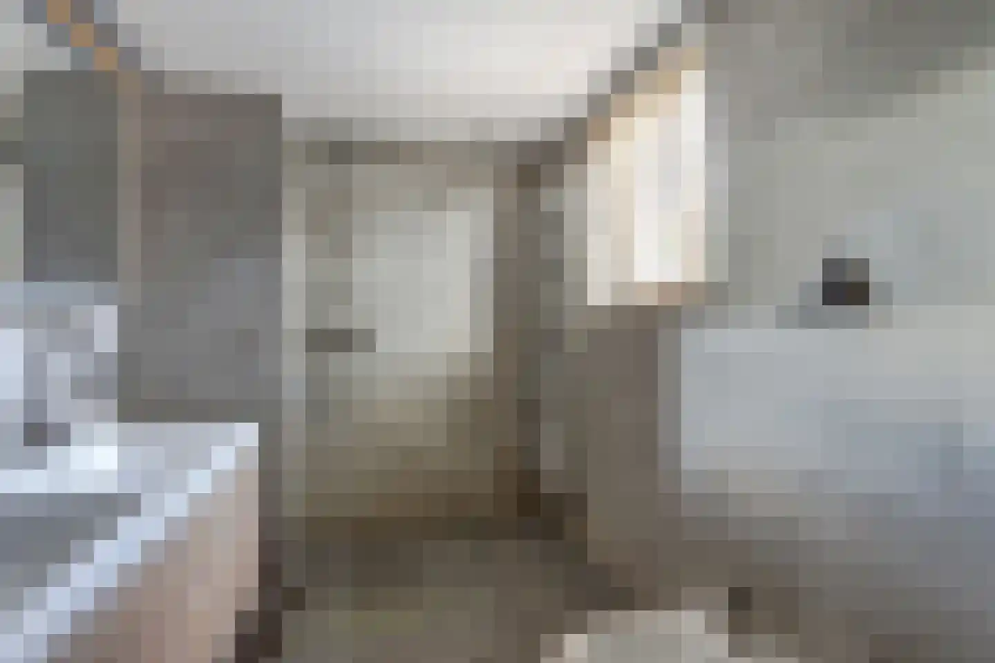 J. Dixlaan 40 Heemstede thumbnail 33