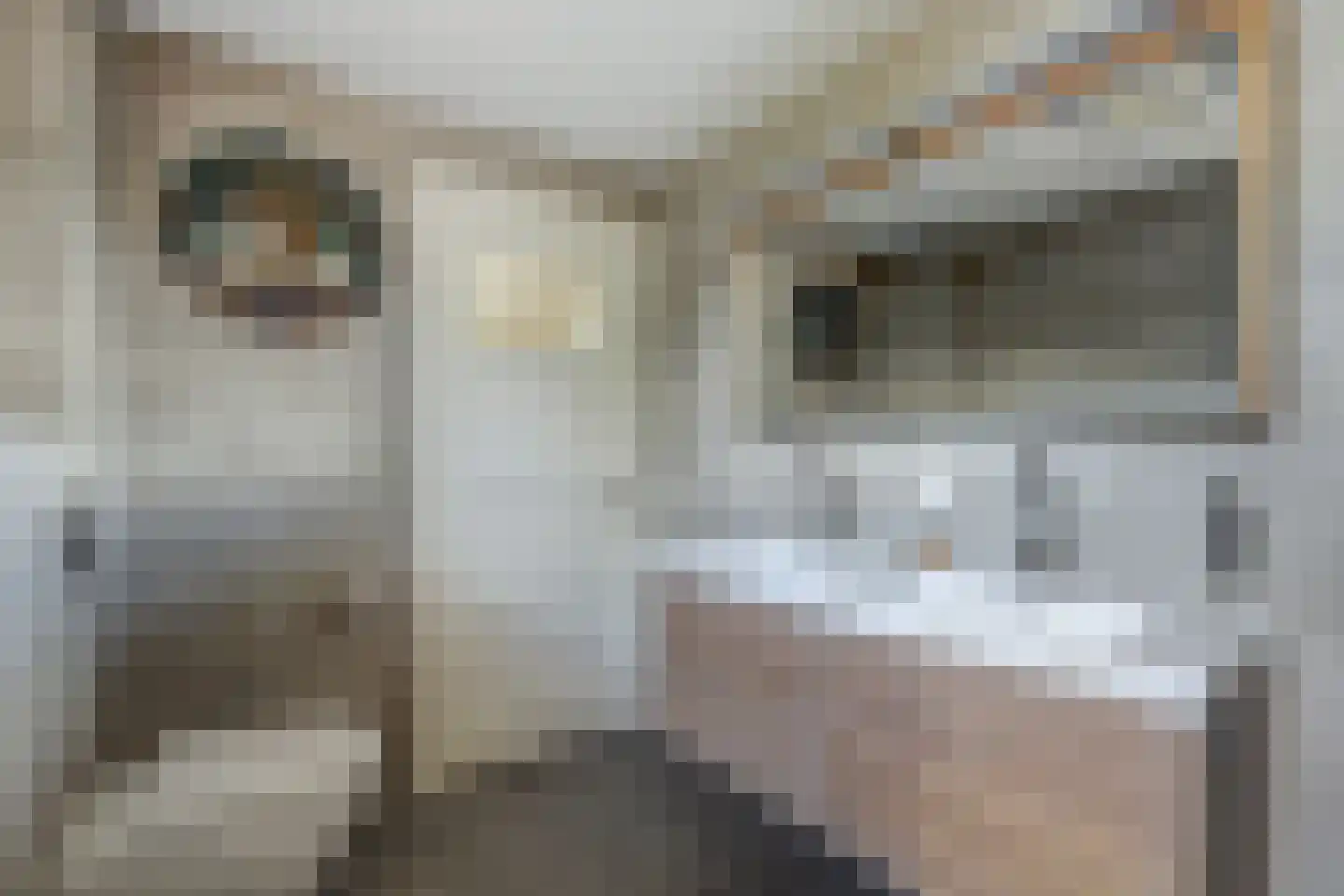 J. Dixlaan 40 Heemstede thumbnail 34