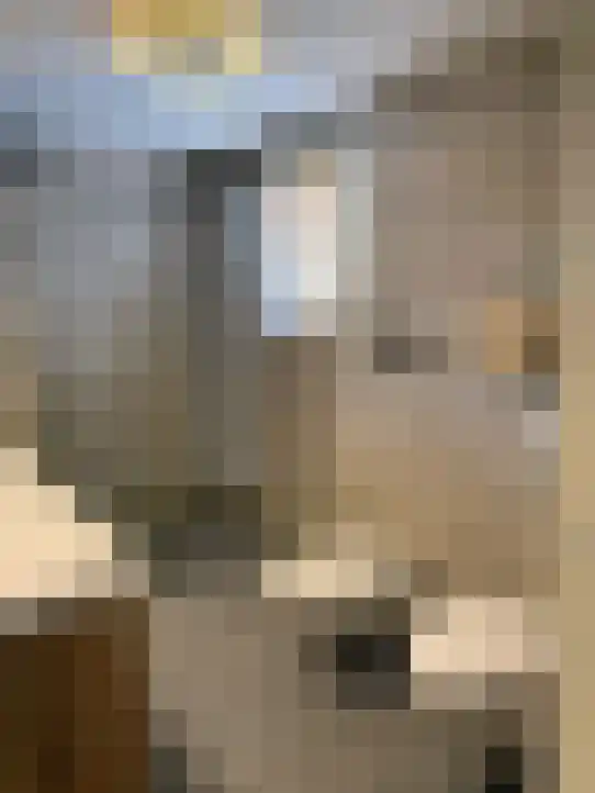 J. Dixlaan 40 Heemstede thumbnail 37