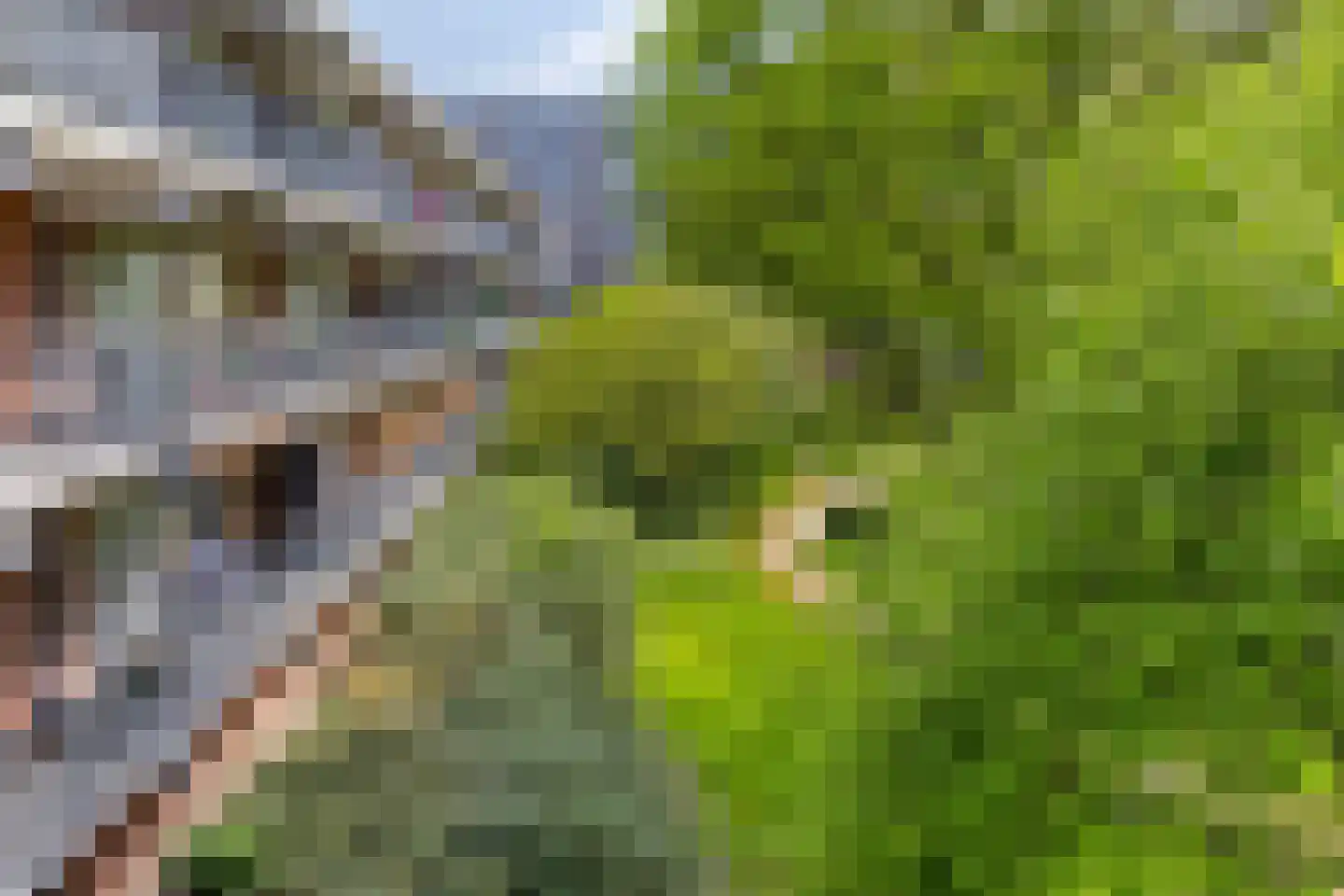 J. Drijverweg 34 Amsterdam thumbnail 22