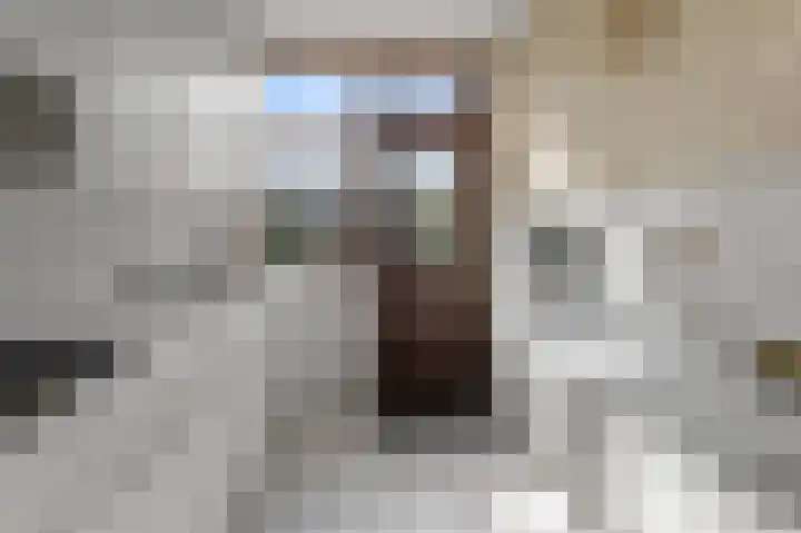 J.E. de Witstraat 41 Uitgeest thumbnail 11