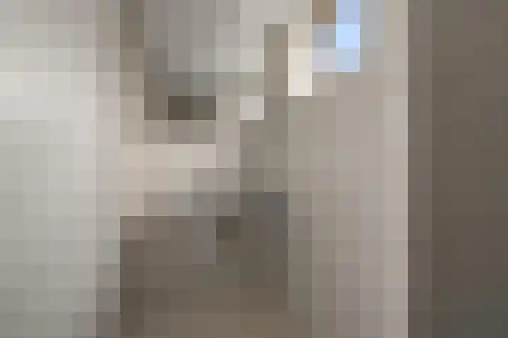 J.E. de Witstraat 41 Uitgeest thumbnail 21