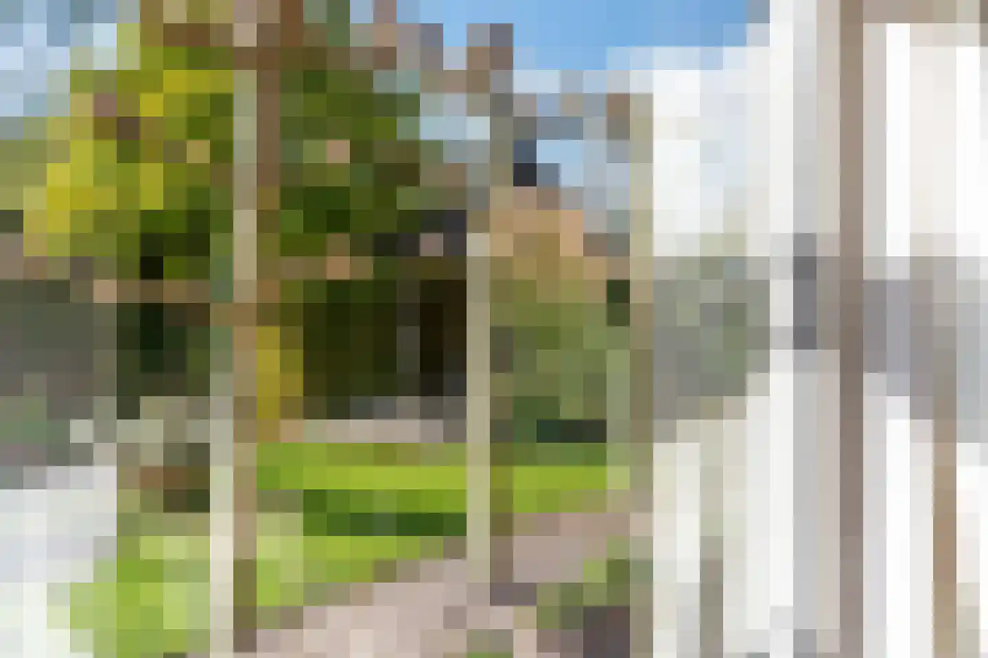 J.E. Penraadstraat 12 Maurik thumbnail 17