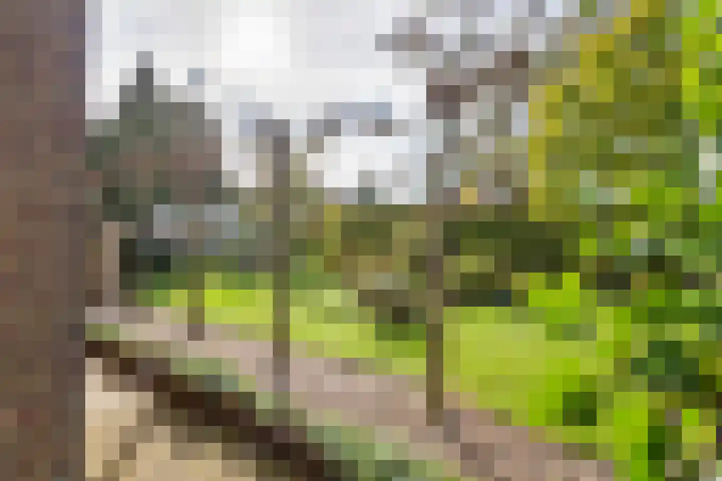 J.E. Penraadstraat 12 Maurik thumbnail 47