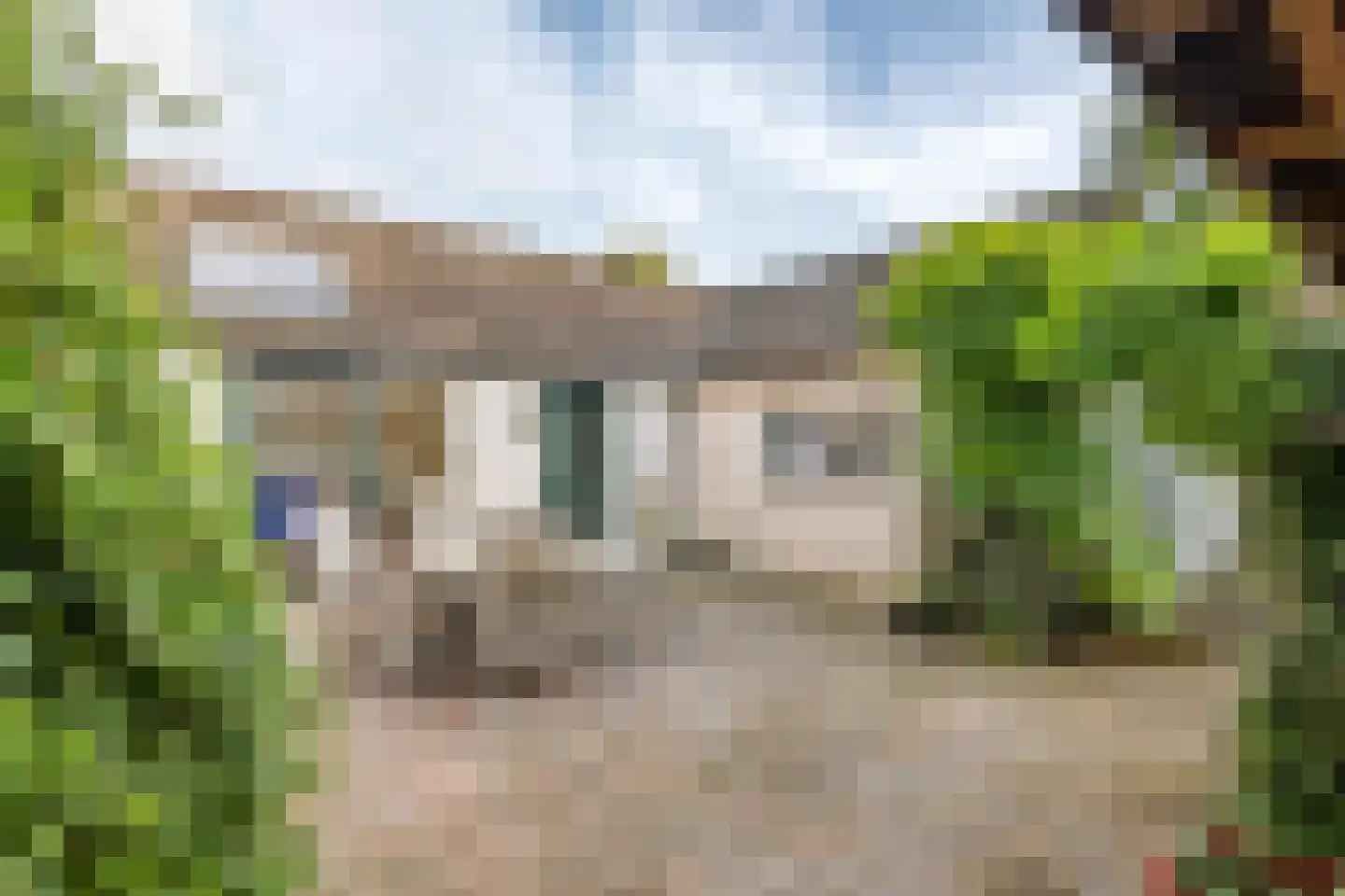 J.E. Penraadstraat 12 Maurik thumbnail 48