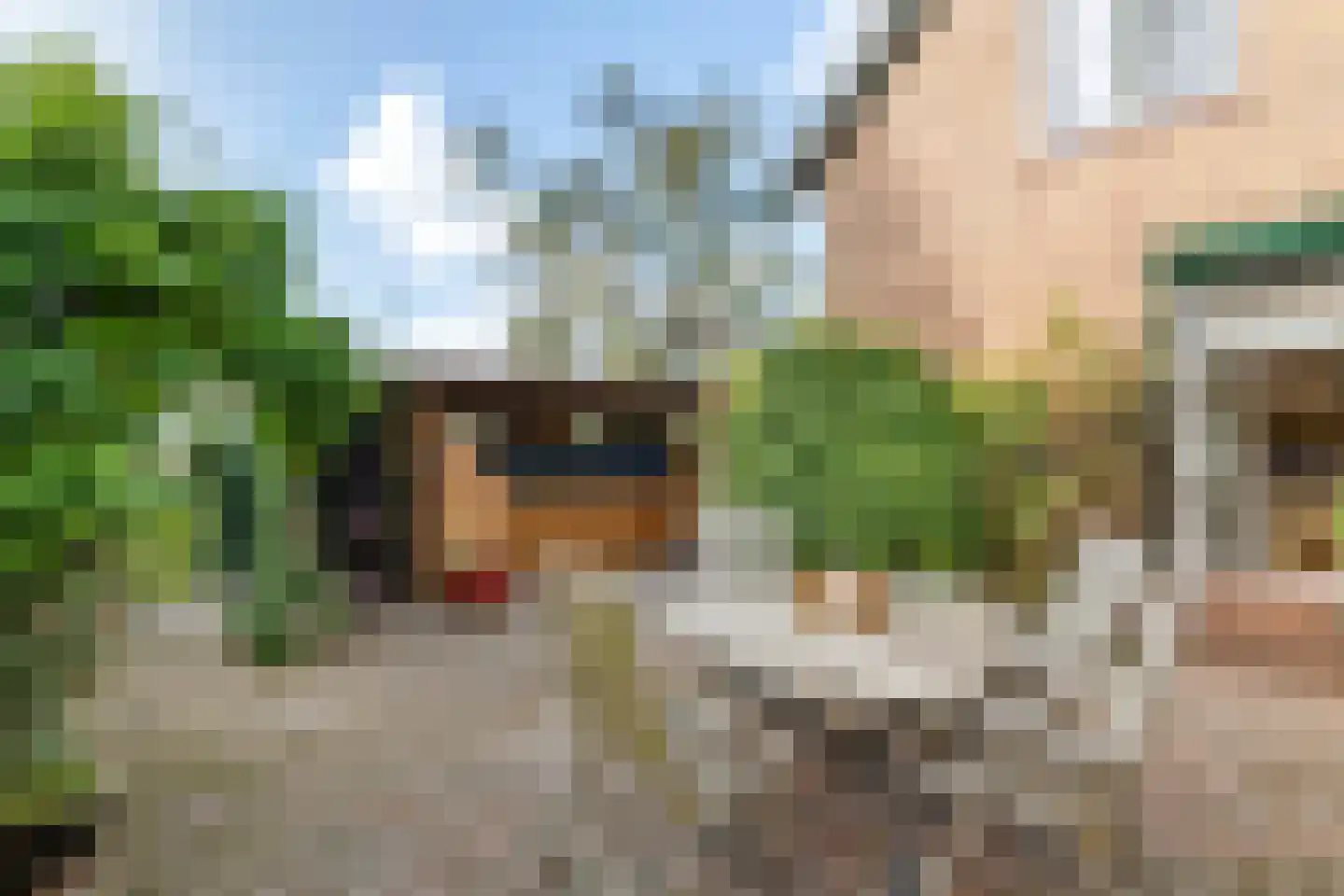 J.E. Penraadstraat 12 Maurik thumbnail 50