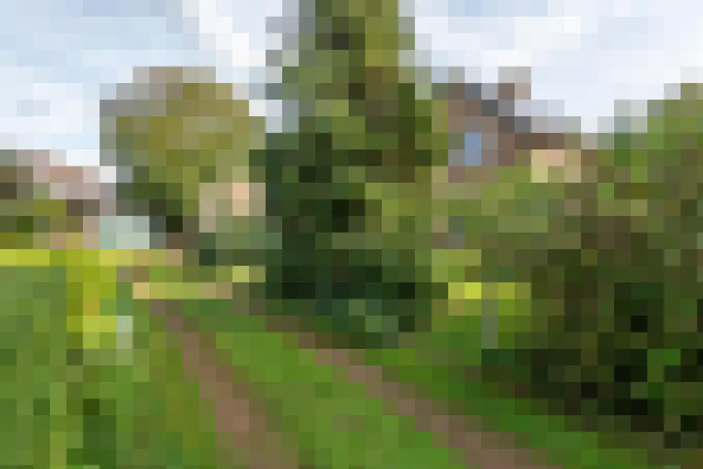 J.E. Penraadstraat 12 Maurik thumbnail 53