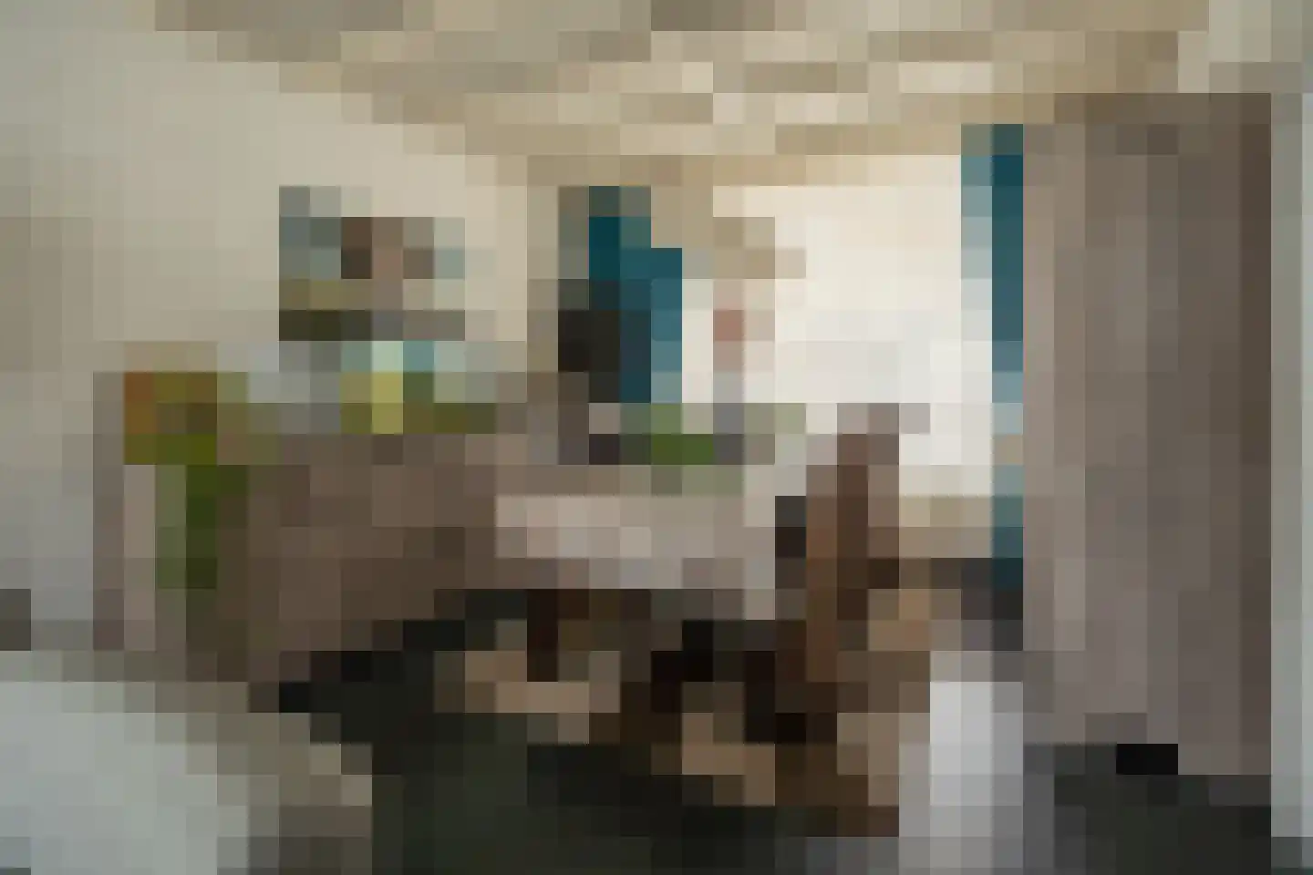 J.E.S. Holthausstraat 1 Rossum thumbnail 16
