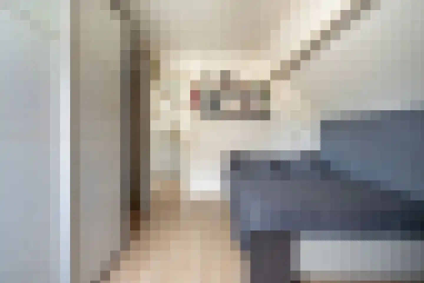 J.E.S. Holthausstraat 1 Rossum thumbnail 25