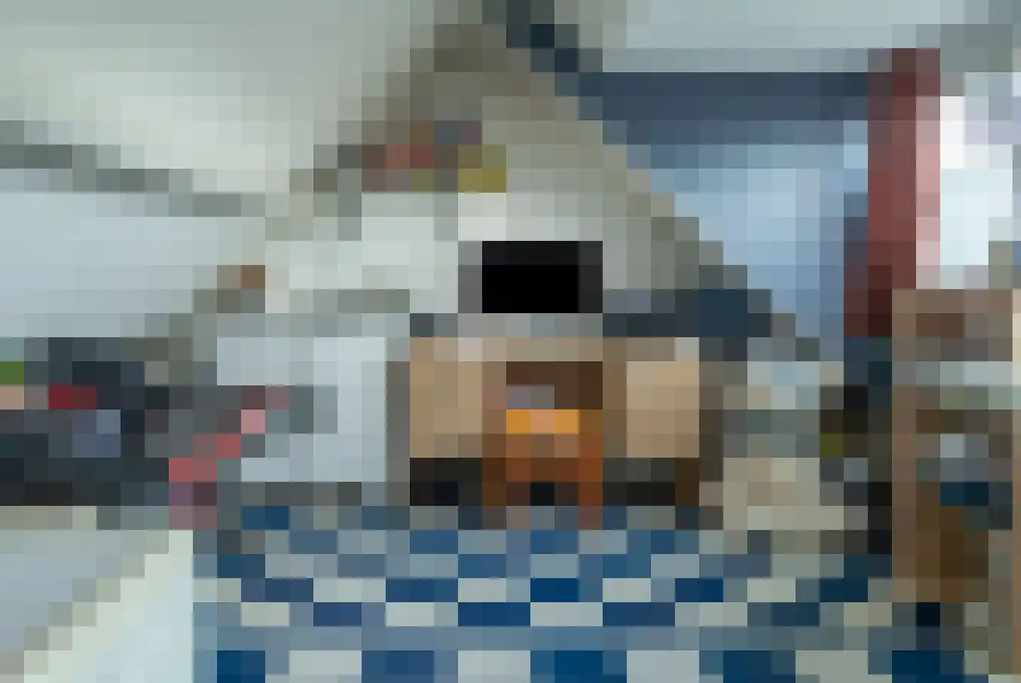 J.E.S. Holthausstraat 1 Rossum thumbnail 30