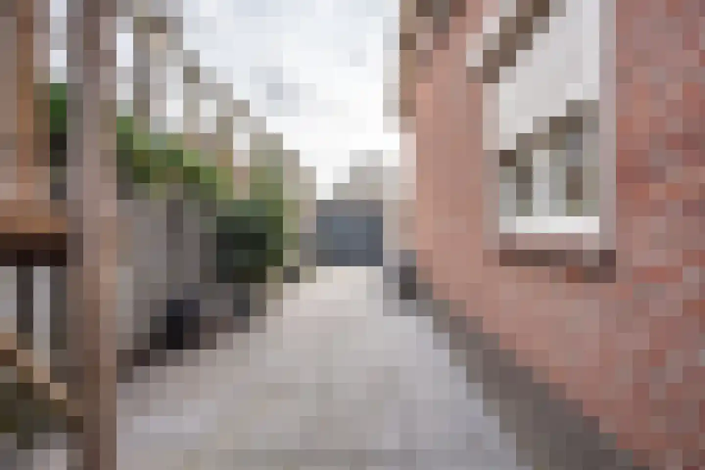J.E.S. Holthausstraat 1 Rossum thumbnail 5
