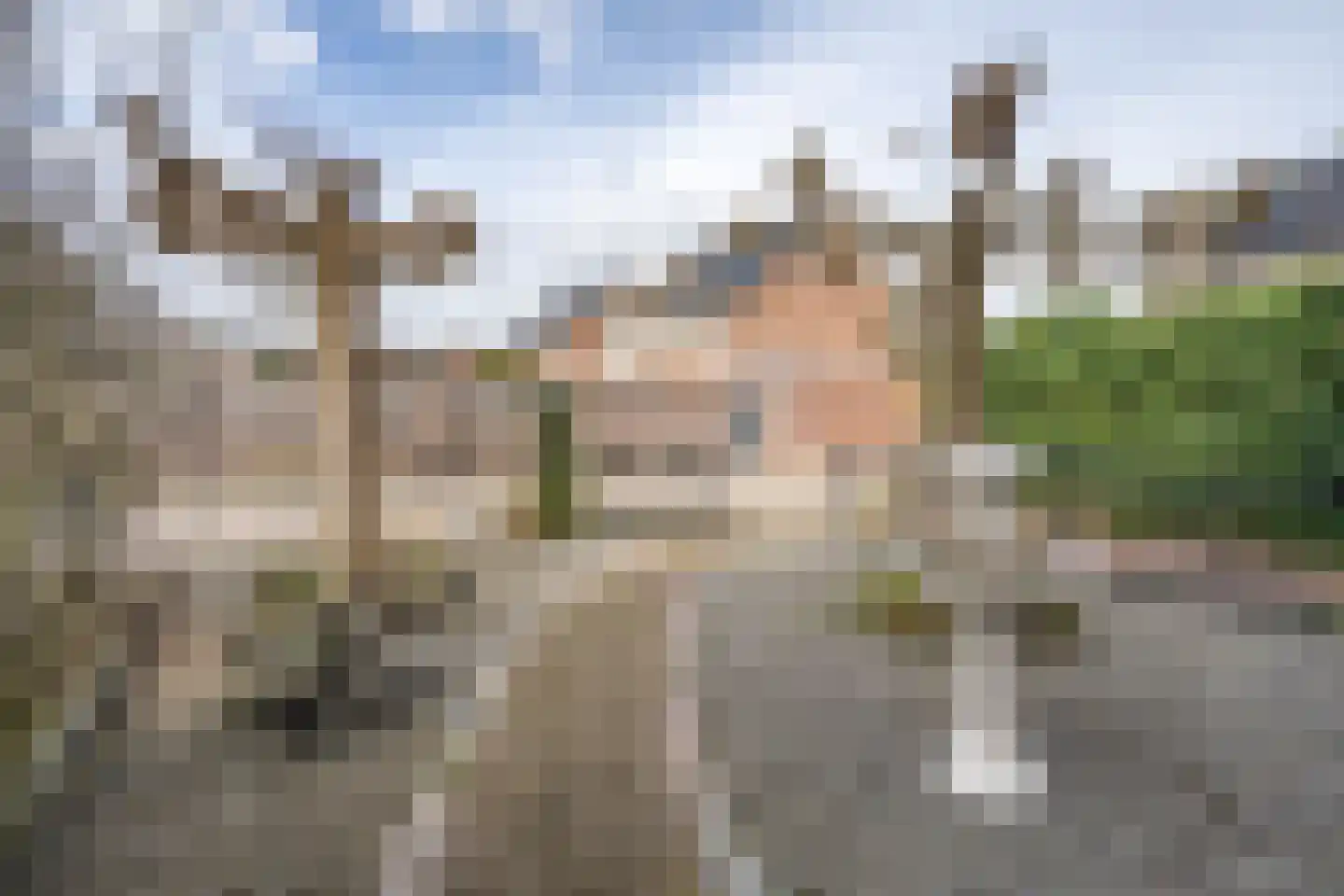 J.E.S. Holthausstraat 1 Rossum thumbnail 9